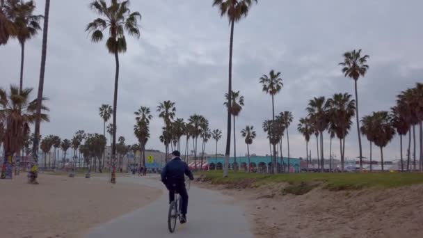 ベニスビーチ沿いのオーシャンフロントウォーク-アメリカ合衆国ロサンゼルス-エイプリル社2019年1月1日 — ストック動画