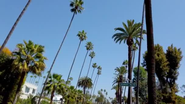 Beverly Hills sokaklarında araba kullanmak - seyahat fotoğrafçılığı — Stok video