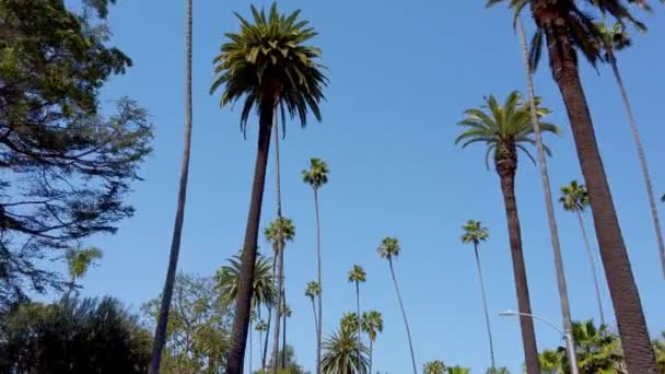 Körning genom gatorna i Beverly Hills - resor fotografi — Stockvideo