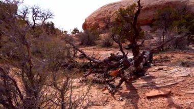 Arches Ulusal Parkı 'ndan geçmek - seyahat fotoğrafçılığı