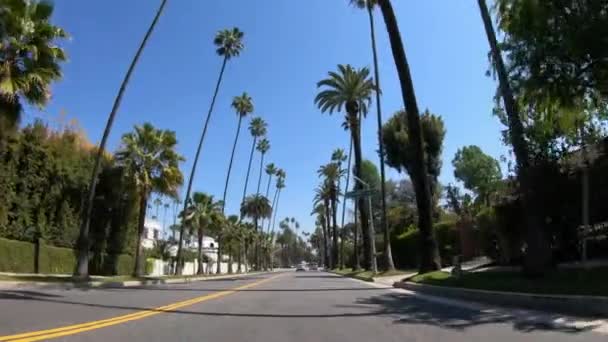 Beverly Hills 'in Palmiye Ağacı Geçitleri' nden geç. LOS ANGELES. ABD - 18 Mart 2019 — Stok video