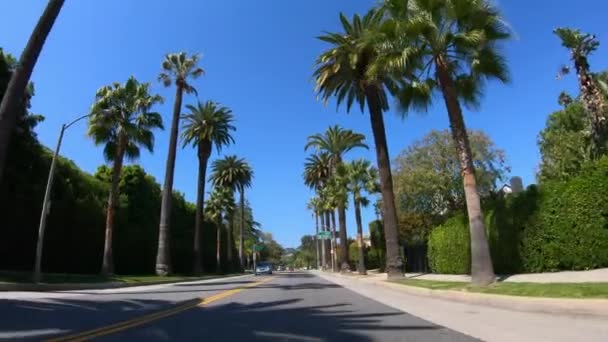 Проїжджайте через пальмові алеї Беверлі-Гіллз - LOS ANGELES. США 18 БЕРЕЗНЯ 2019 — стокове відео