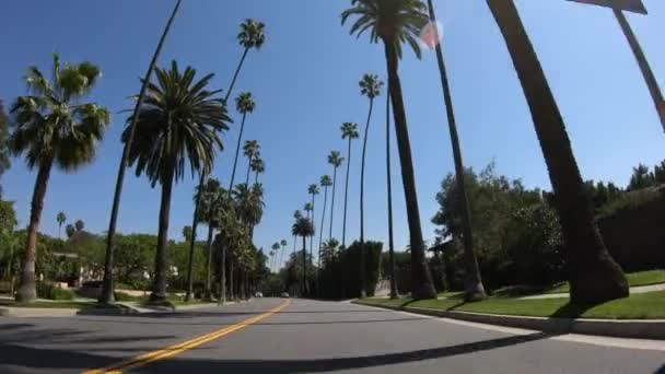 Beverly Hills POV sürücüsü, LOS Angelgeles. ABD - 18 Mart 2019 — Stok video