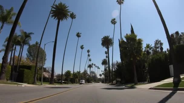 Beverly Hills 'in Palmiye Ağacı Geçitleri' nden geç. LOS ANGELES. ABD - 18 Mart 2019 — Stok video