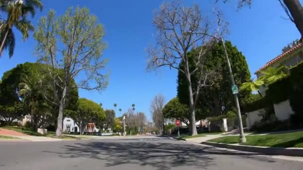 Conduzca a través de los callejones de palmeras de Beverly Hills LOS ÁNGELES. Estados Unidos - 18 de marzo de 2019 — Vídeo de stock