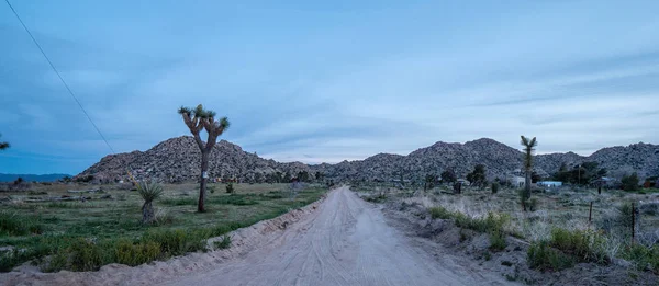 The desert of Nevada in the evening - travel photography