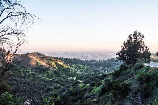 ハリウッドヒルズからロサンゼルスのダウンタウン上空を見る 旅行写真 — ストック写真