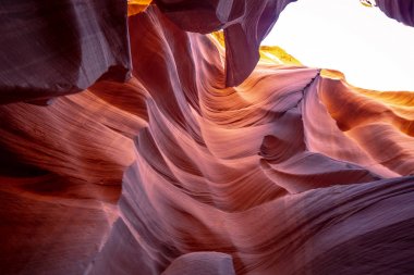 Arizona 'daki Aşağı Antilop Kanyonu - çöldeki en güzel yer - seyahat fotoğrafçılığı