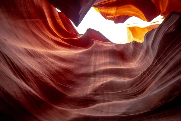 Nedre Antelope Canyon Arizona Vackraste Platsen Öknen Fotografi — Stockfoto