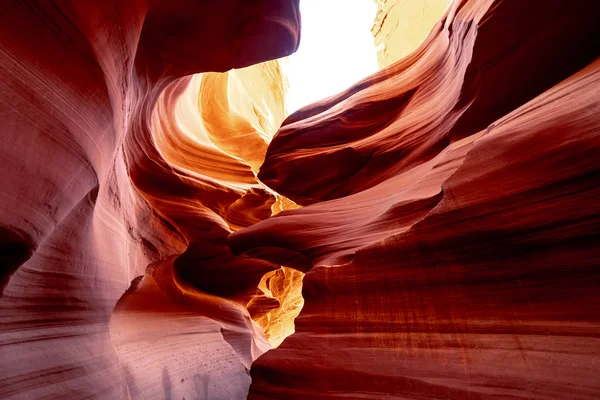 Lower Antelope Canyon Arizona Det Vakreste Sted Ørkenen Reisefotografering – stockfoto