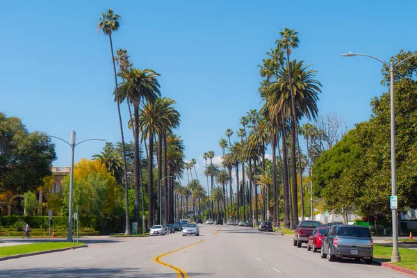 Beverly Hills Palmiye Ağaçları Ile Sokak Manzarası Kaliforniya Amerika Birleşik — Stok fotoğraf