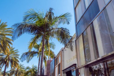 Beverly Hills Rodeo Drive'da palmiye ağacı - California, Amerika Birleşik Devletleri - 18 Mart 2019