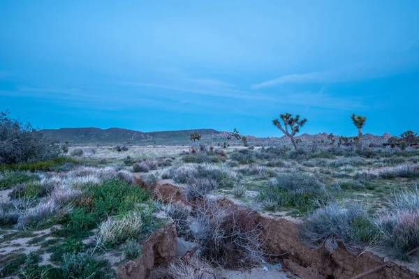 Desierto Nevada Por Noche Fotografía Viaje — Foto de Stock