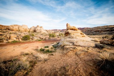 Cayonlands Ulusal Parkı 'nın güzel manzarası - seyahat fotoğrafçılığı