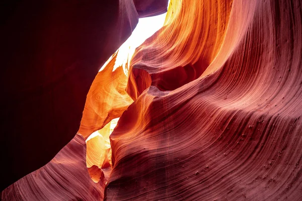 Lower Antelope Canyon Arizona Det Vakreste Sted Ørkenen Reisefotografering – stockfoto