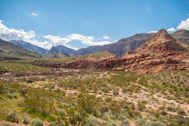 Utah çölünün güzel manzarası - seyahat fotoğrafçılığı