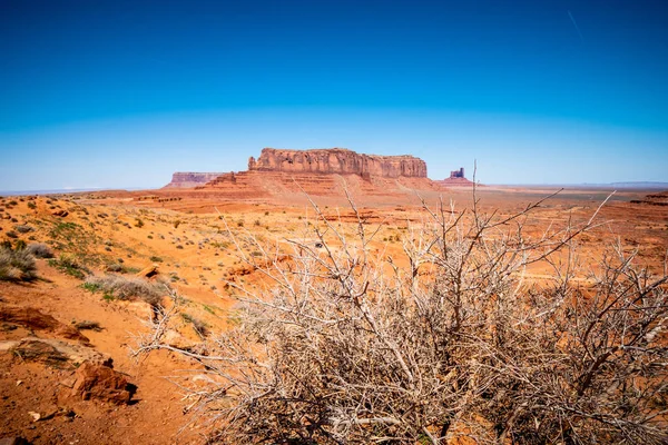 Utah Oljato Daki Anıt Vadisi Seyahat Fotoğrafçılığı — Stok fotoğraf