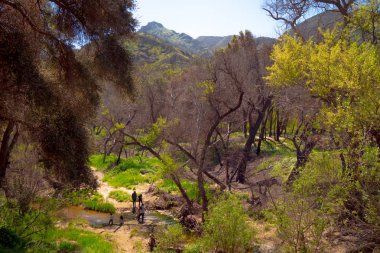 Malibu Creek Eyalet Parkı - MALIBU, ABD - 29 Mart 2019