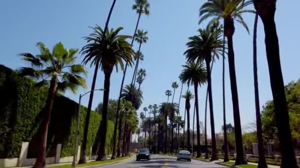 Beverly Hills sokaklarında araba kullanmak - seyahat fotoğrafçılığı — Stok video