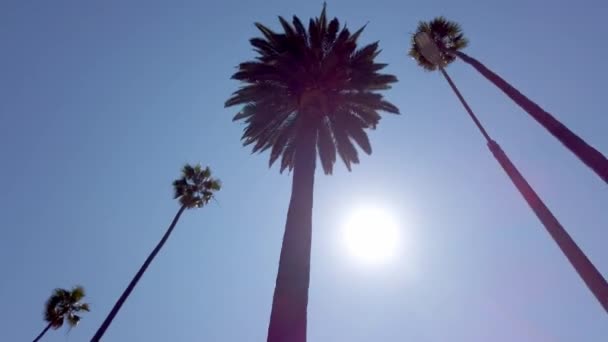 Conducir por las calles de Beverly Hills - fotografía de viaje — Vídeos de Stock