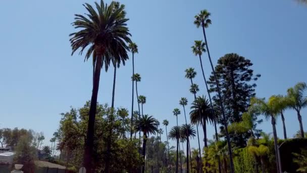 Conducir por las calles de Beverly Hills - fotografía de viaje — Vídeos de Stock