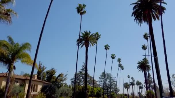 Conducir a través de Beverly Hills con sus palmeras - fotografía de viaje — Vídeos de Stock