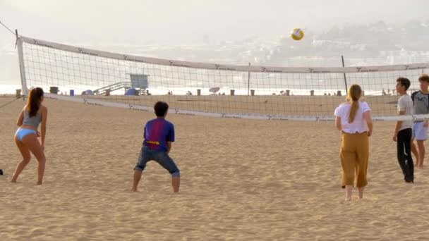 Siatkówka plażowa na plaży Santa Monica - LOS ANGELES, USA - Marzec 29, 2019 — Wideo stockowe
