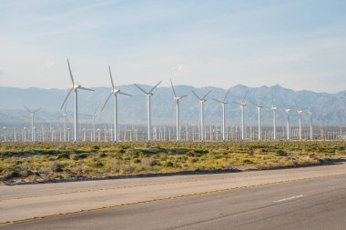 Palm Springs 'in yel değirmeni parkı - CALIFORNIA, ABD - 18 Mart 2019