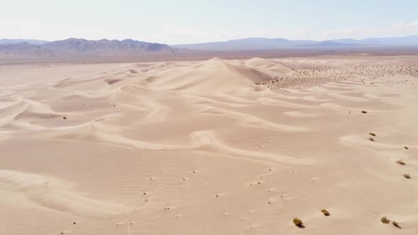 Полет над пустыней с красивыми песчаными дюнами — стоковое видео