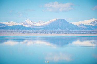 Doğu Sierra Nevada 'daki Mono Gölü