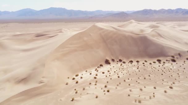 Vol au-dessus des dunes de sable dans le désert — Video