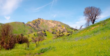 California 'daki Malibu Creek Eyalet Parkı