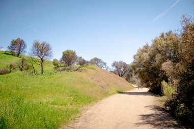 California 'daki Malibu Creek Eyalet Parkı