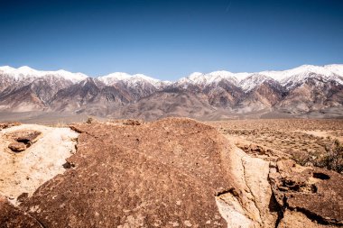 Doğu Sierra 'daki Yarıkarınca Vadisi' nde Antik Petroglifler