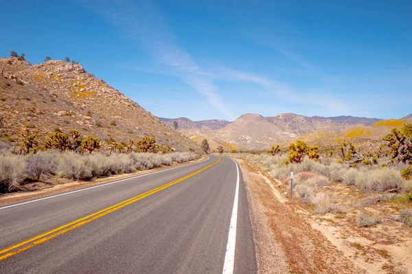 Сценический маршрут через пустыню Секвойя в Калифорнии — стоковое фото