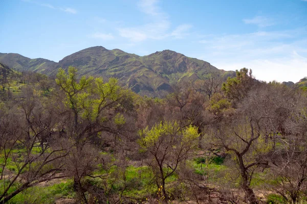 Malibu Creek Állami Park Kaliforniában — Stock Fotó