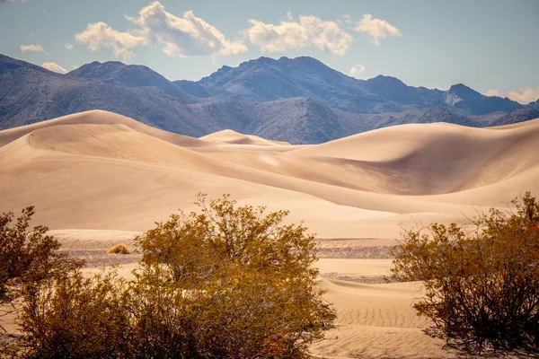 Nevada çölünde kum tepeleri — Stok fotoğraf