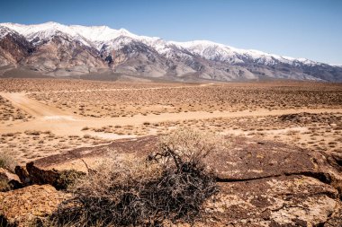 Chalfant Vadisi kayalarda ünlü petroglifleri ile
