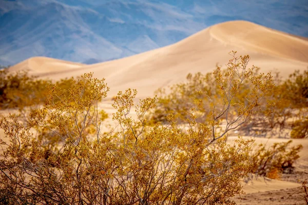 Große Sanddünen in der Wüste von Nevada — Stockfoto
