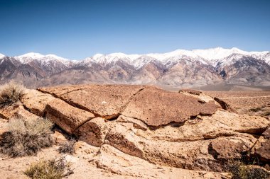 Doğu Sierra 'daki Yarıkarınca Vadisi' nde Antik Petroglifler