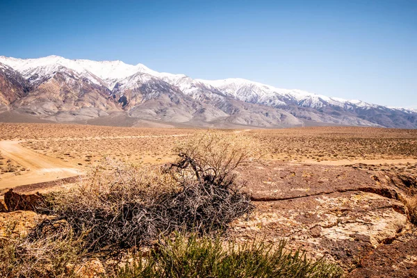 Petróglifos nativos americanos espetaculares em Chalfant Valley — Fotografia de Stock