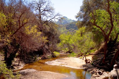 California 'daki Malibu Creek Eyalet Parkı