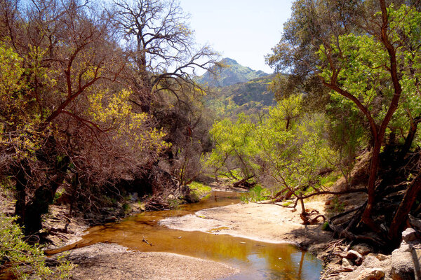 Malibu Creek State Park in California