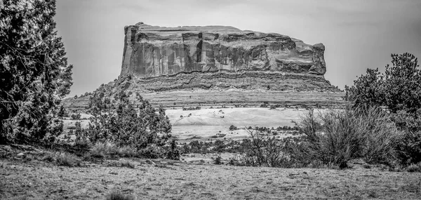 Paisagem incrível e vegetação no deserto de Utah — Fotografia de Stock