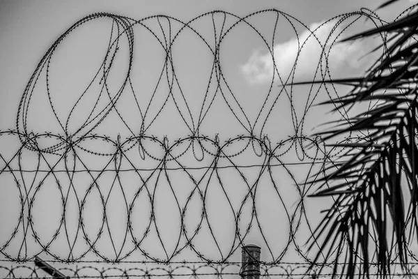 Barbwire fence at the Mexican Border