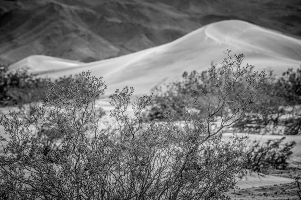 Velké písečné duny v Nevadské poušti — Stock fotografie