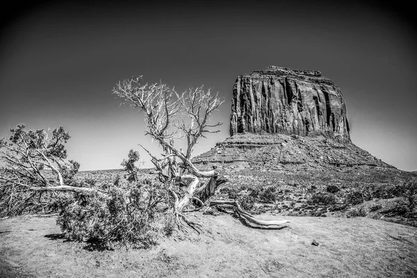 Monument Valley en Utah Oljato —  Fotos de Stock