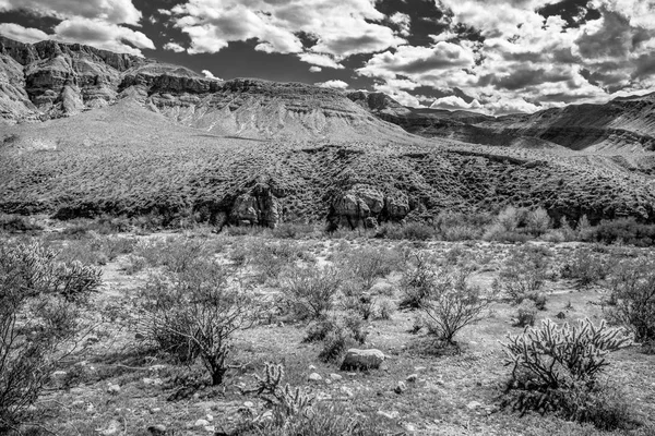 Bellissimo paesaggio nel deserto di utah — Foto Stock