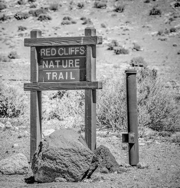 Red Rock Canyon California Mojave United States America March 2019 — Stock Photo, Image