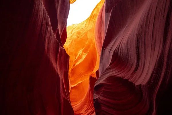 Nedre Antelope Canyon Arizona Vackraste Platsen Öknen Fotografi — Stockfoto